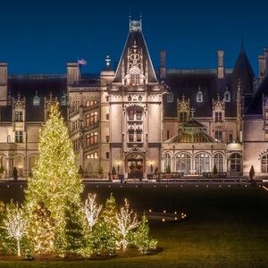 ESTATE SALE VIBES SHOW LETS GO